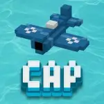 C.A.P. (Combat Air Patrol)