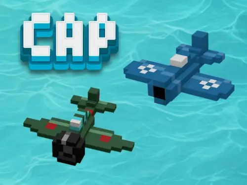 C.A.P. (Combat Air Patrol)