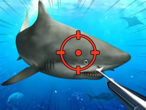 Hunter Underwater Spearfishing